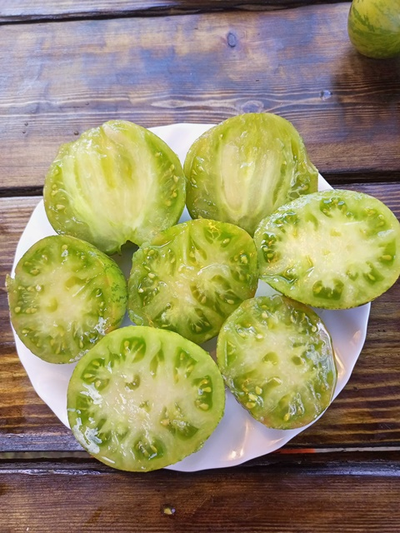 Томат Звёздный истребитель VT16  (Rebel Starfighter VT16)