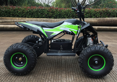 Детский квадроцикл Motax GEKKON 1300W