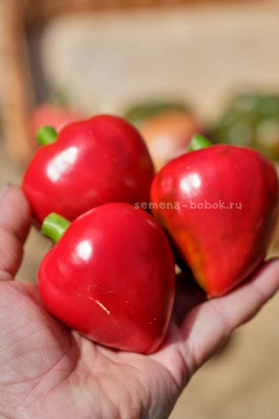 Перец сладкий Маусики, 10 шт