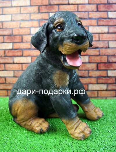 Ротвеллер щенок 24*23см 0,8кг  полистоун пр-во Россия 898-012705