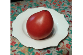 сорт Сладкий кекс