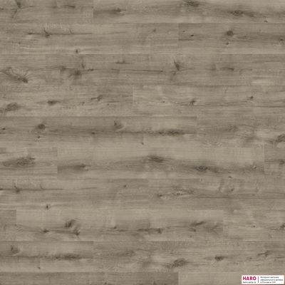 Ламинат Haro Daily Edition Дуб Калла Серый 541341 31 класс толщина 7 мм без фаски 2.22 м2