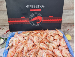 СЕВЕРНАЯ 40-60 ШТ В КГ