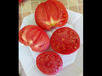 Томат Настоящий Бельмонте из Калабрии (Belmonte vero Calabro, Italy)