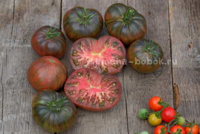 Томат Dwarf The Thong (Гном Тонг), 10 шт