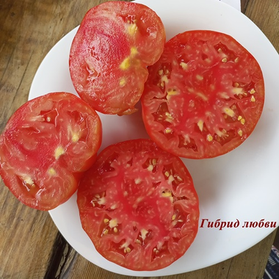 Томат Гибрид любви