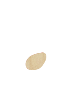 ТВОРЧЕСТВО НОТА 1 (ФАНЕРА)