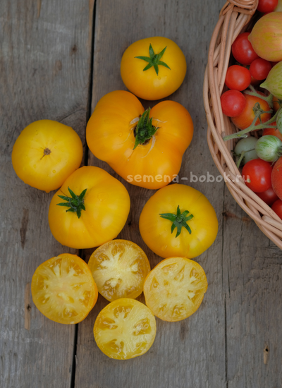 Томат Dwarf Jasmine Yellow (Гном Желтый Жасмин), 10 шт