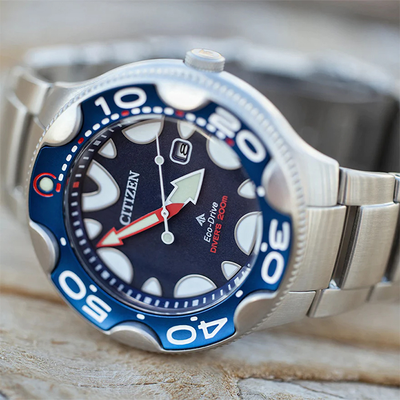 Наручные часы Citizen BN0231-52L