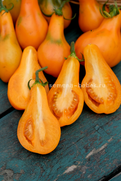 Томат Мила, 10 шт.