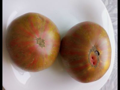 Томат Мятные полосы (Dwarf Peppermint Stripes)