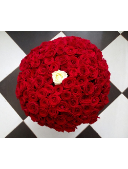 100 красных и 1 белая роза