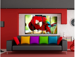 Модульная картина "Красный ару"