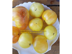 Томат Белое сердце Р. Крафта (Reinhard Kraft’s White Heart)