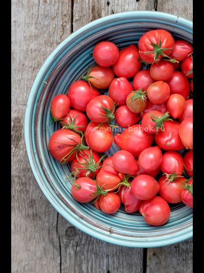 Томат Козула 14 Мегагрон, 10 шт