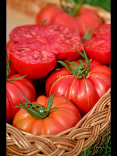 Томат Arnaldo (Арналдо), 10 шт