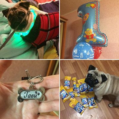 Заготовка «косточка» в сборе, с бортиками. Комплект 10 штук