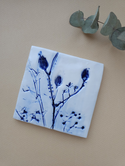 Шалфей // 10*10