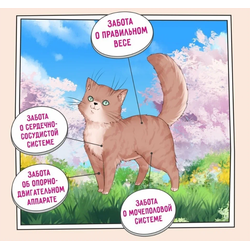 ZILLII  Light/Sterilized Cat корм сухой для кошек с избыточным весом и стерилизованных Индейка и Ягненок 0.4 кг
