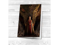 Обложка на паспорт Дом Дракона, House of the Dragon №8