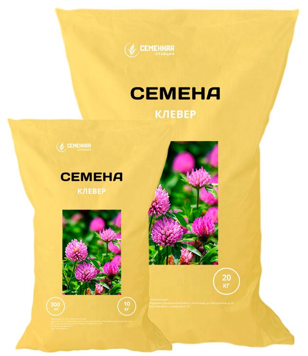 Магазин Семян Клевер