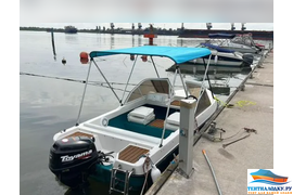 Биминитоп высота 120 см.