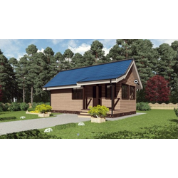 Одноэтажный каркасный дом с одной спальней 45м² (SK68)