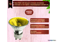 Muller Licht JDR-C-GU/550Y 50w 230v 50° GU10 Yellow