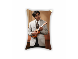 Подушка Теория большого взрыва, The Big Bang Theory №3