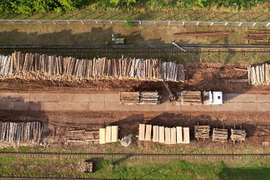 Вырубка леса под cтроительство