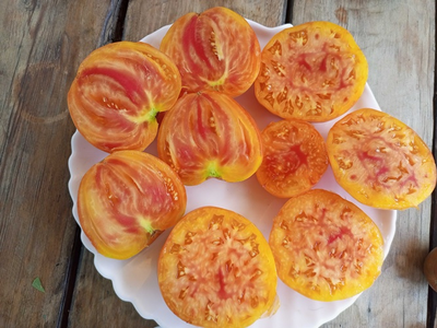 Томат Желтый полосатый Кармеллы (Carmella’s Yellow Stripes)