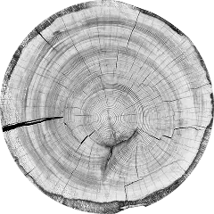 Бревна Кело