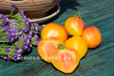 Томат Cœur de Zèbre (Heart of Zebre Apricot , Сердце абрикосовой зебры), 10 шт