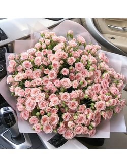 31 КУСТОВАЯ РОЗА 50 см