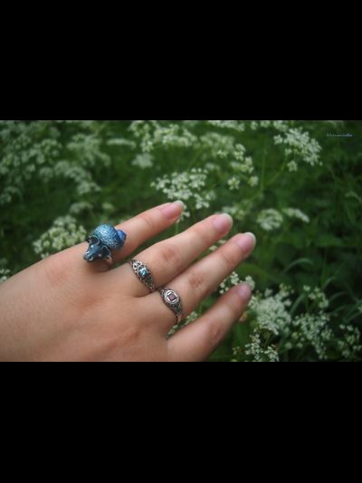 Волшебное колечко со Слоноулиткой