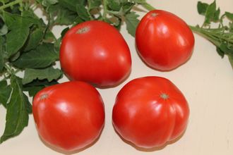 Бычье сердце Немецкое