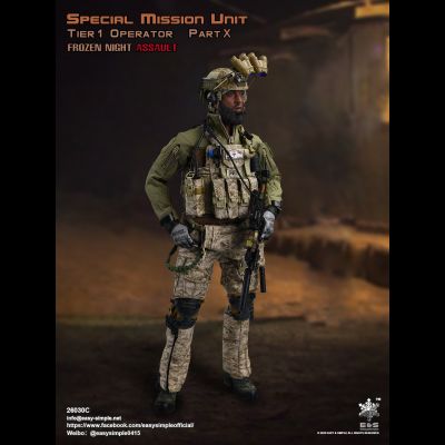 Штурмовик группы Сил специальных операций США - КОЛЛЕКЦИОННАЯ ФИГУРКА 1/6 scale Special Mission Unit Part X Frozen Night Assault (26030C) - Easy&amp;Simple