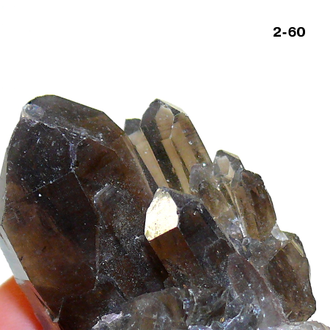 Раухтопаз натуральный (микро-друза) Казахстан №2-60: 23,5г - 39*24*29мм