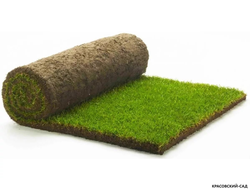 Рулонный газон Промышленный