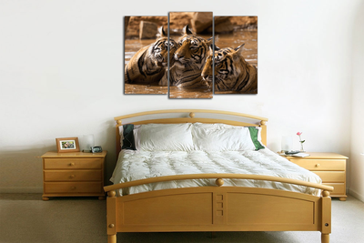 Модульная картина "Тигры в воде"