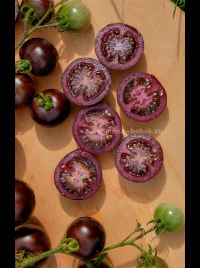 Томат Empress Purple Tomato (Черничный Щербет), 8 шт