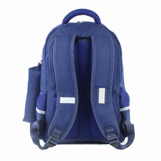 Рюкзак BRAUBERG с пеналом в комплекте, эрго-спинка, для мальчиков, "Орел", 42х29х14 см, 227853