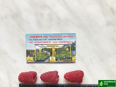 Малина  рем.* "Малиновая Гряда"