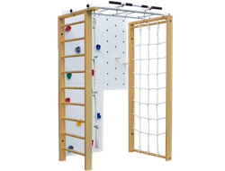 Домашний комплекс с рукоходом KARUSSELL David купить в Воронеже