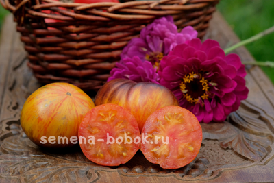 Томат Мечта Алисы (Alice's Dream), 10 шт