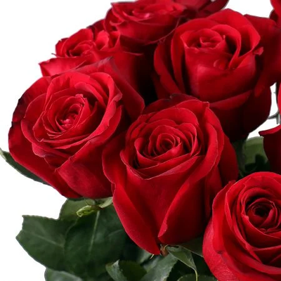 Букет из 15 голландских роз 100 см