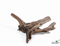 SwetAqua Chinese Sunken EXCLUSIVE 8034 (540х250х250 мм) - Натуральная коряга "Китайская затонувшая" EXCLUSIVE