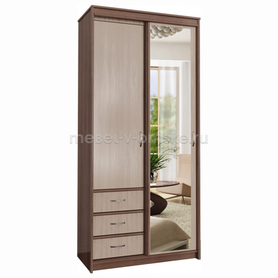 Шкаф-купе Карина 1,0 с зеркалом
