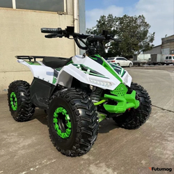 Электроквадроцикл ECO Lizard 48V30AH