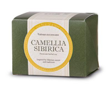 Camellia Sibirica (Камелия сибирика) с золотым корнем, фильтр-пакеты